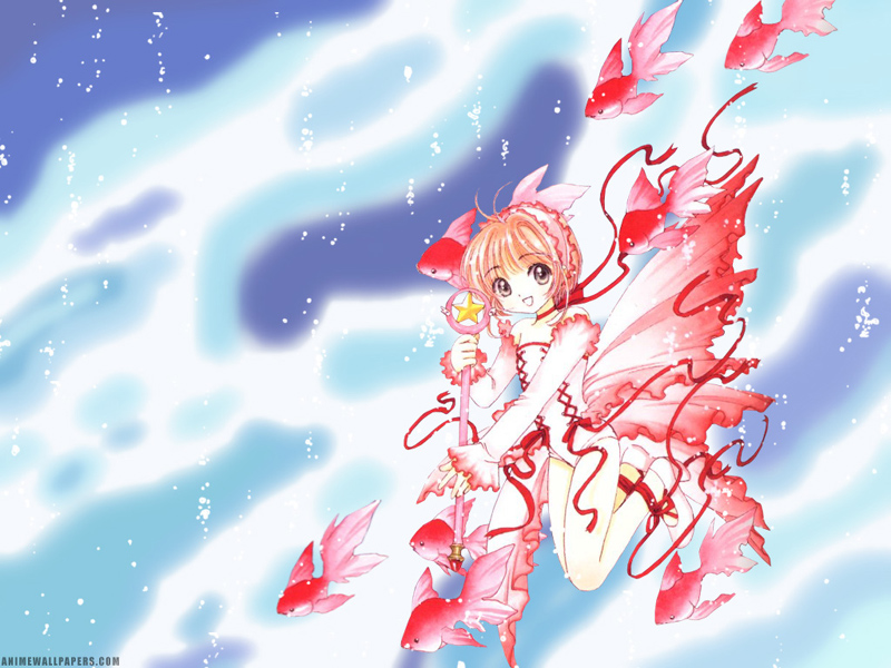 ccs_34_800.jpg