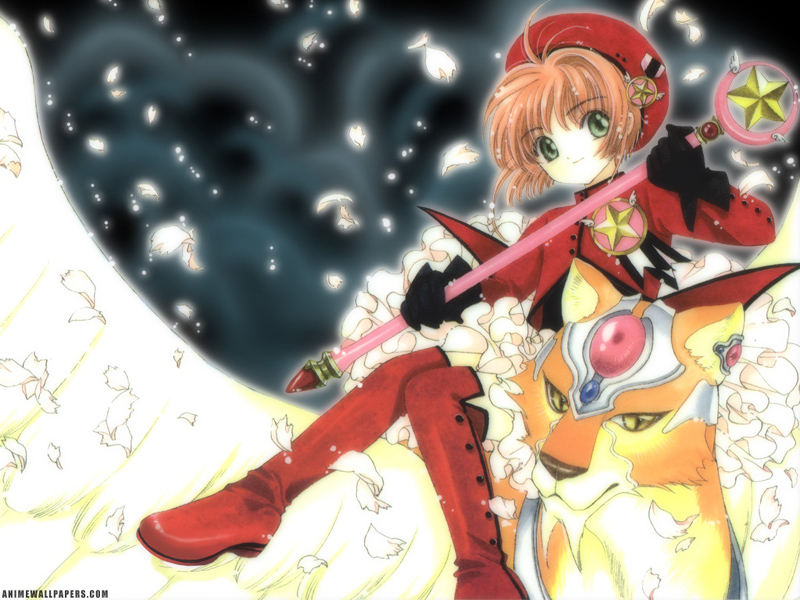 ccs_36_800.jpg
